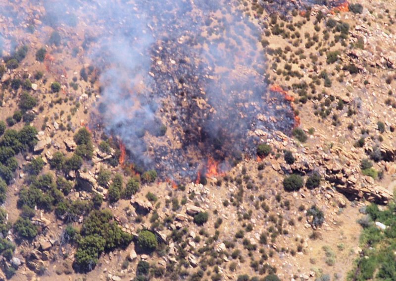 newseaglefirezoom3.jpg