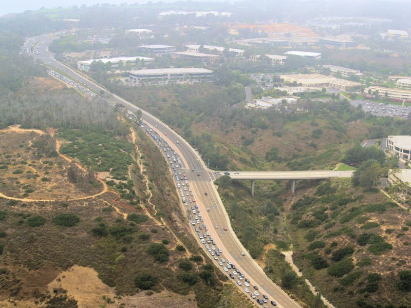 ucsdgeneseeave.jpg