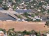 palmms2_small.jpg