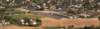 palmms_small.jpg