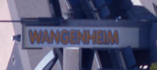 wangenheimms12.jpg