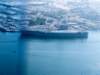 p8096474usscarlvinson_small.jpg