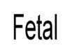 fetal_small.jpg