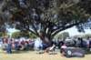 mg_2712_small.jpg