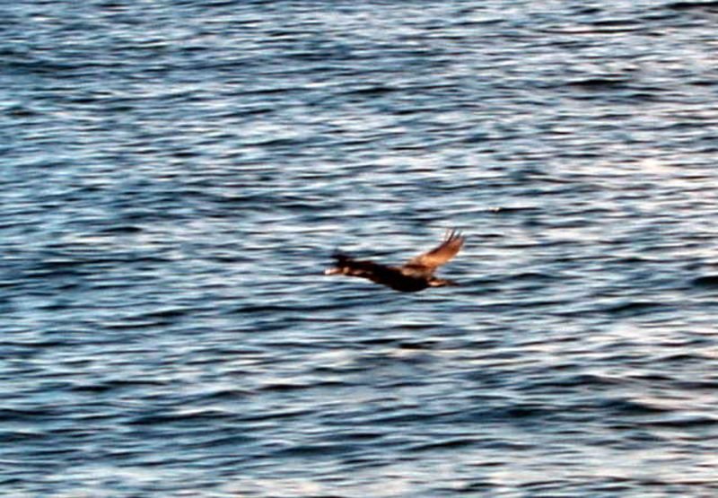 photo22.jpg