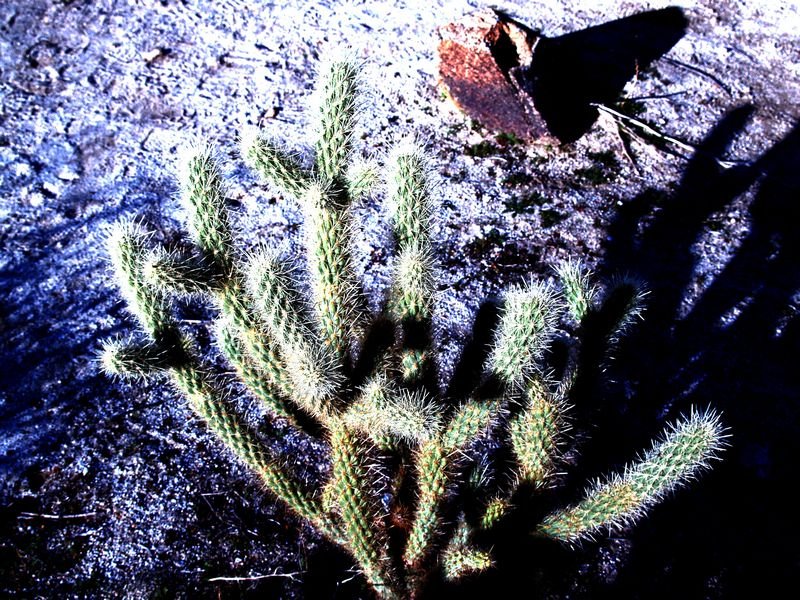 _1318062a.jpg