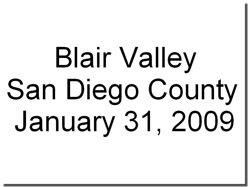 jan31_2009.jpg