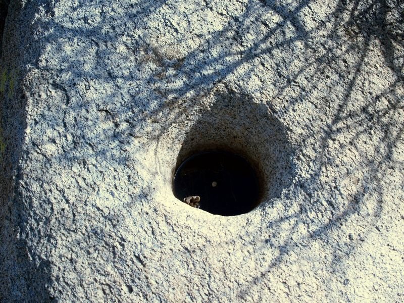 photo11.jpg