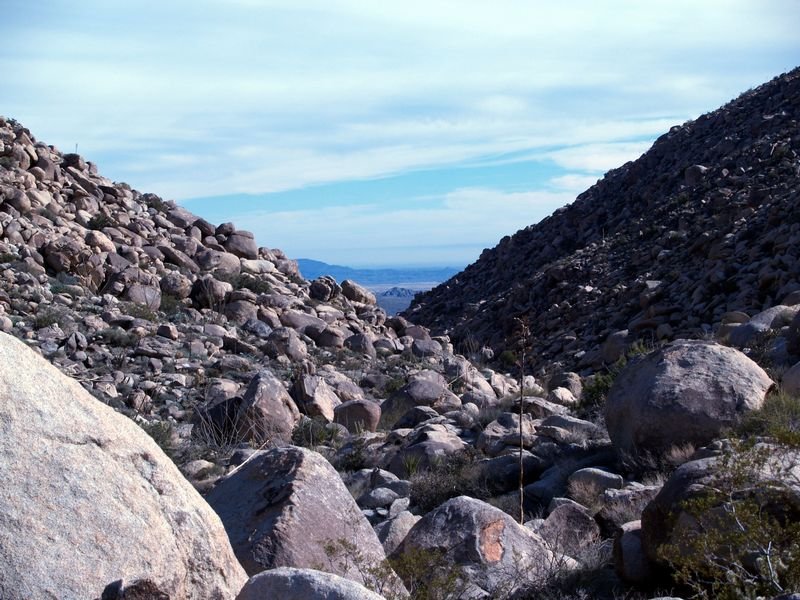 photo20.jpg