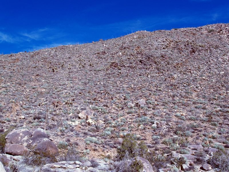photo25.jpg