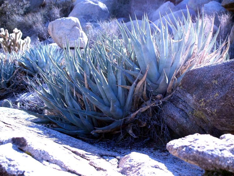 photo38.jpg