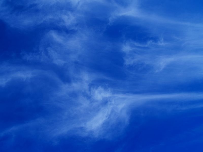 photo41.jpg