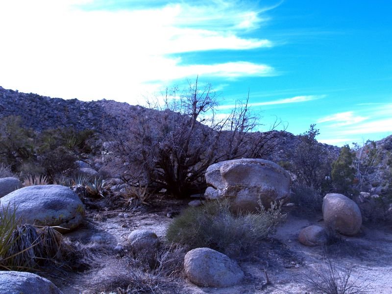 photo57.jpg