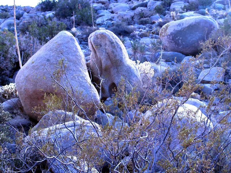 photo58.jpg
