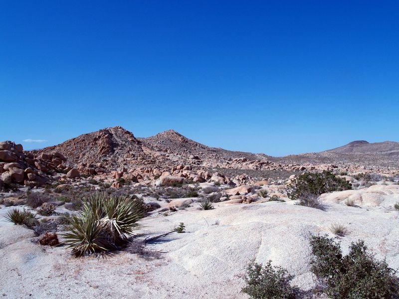 photo10.jpg