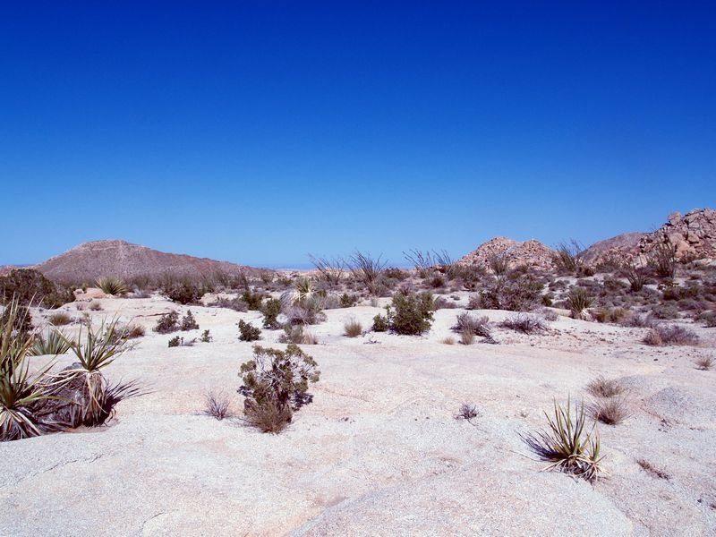 photo12.jpg
