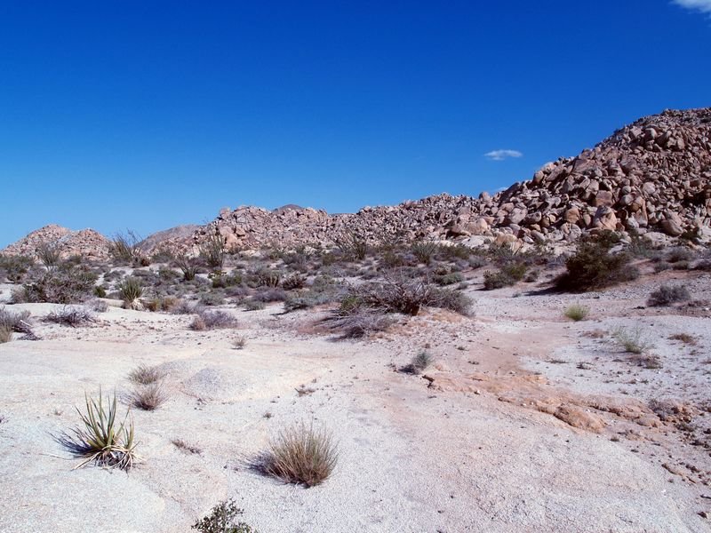 photo13.jpg