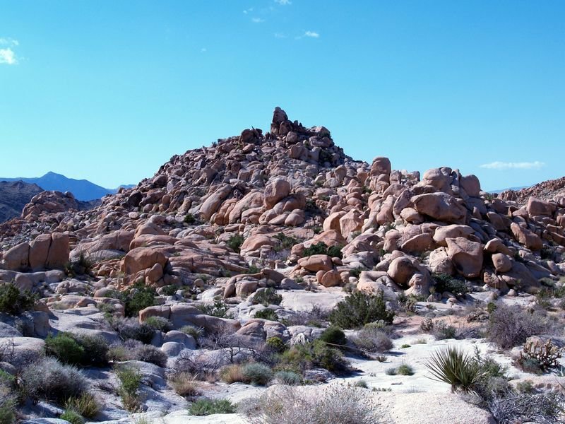 photo15.jpg