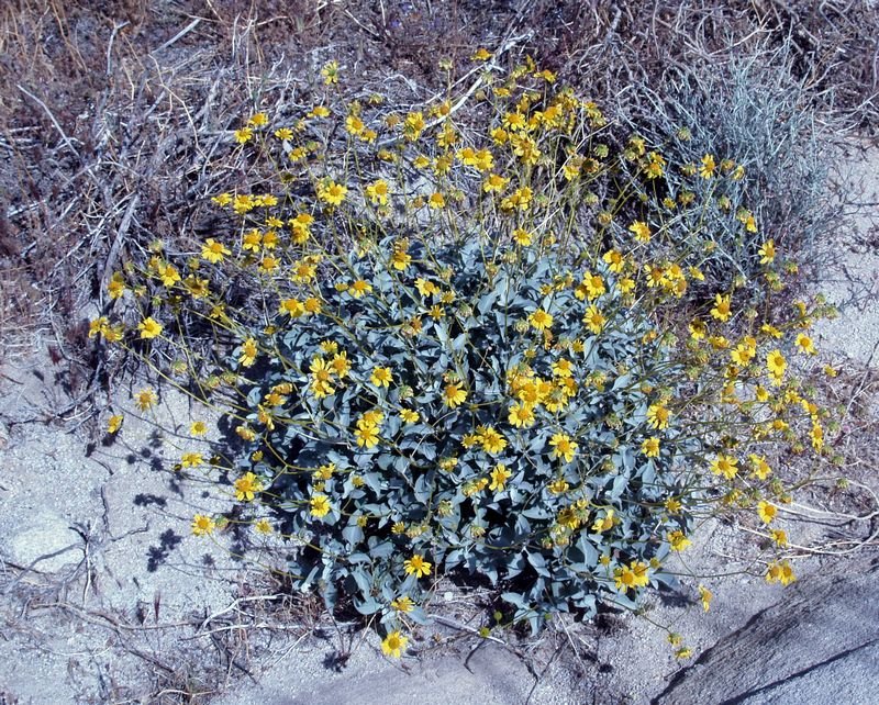 photo16.jpg