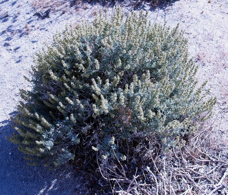 photo18.jpg