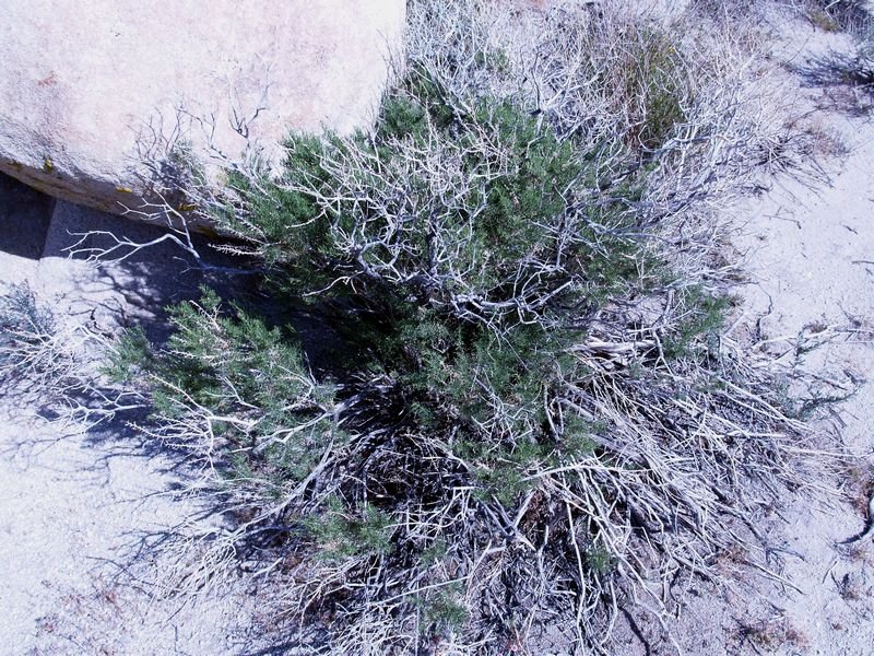 photo19.jpg