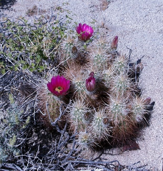 photo22.jpg