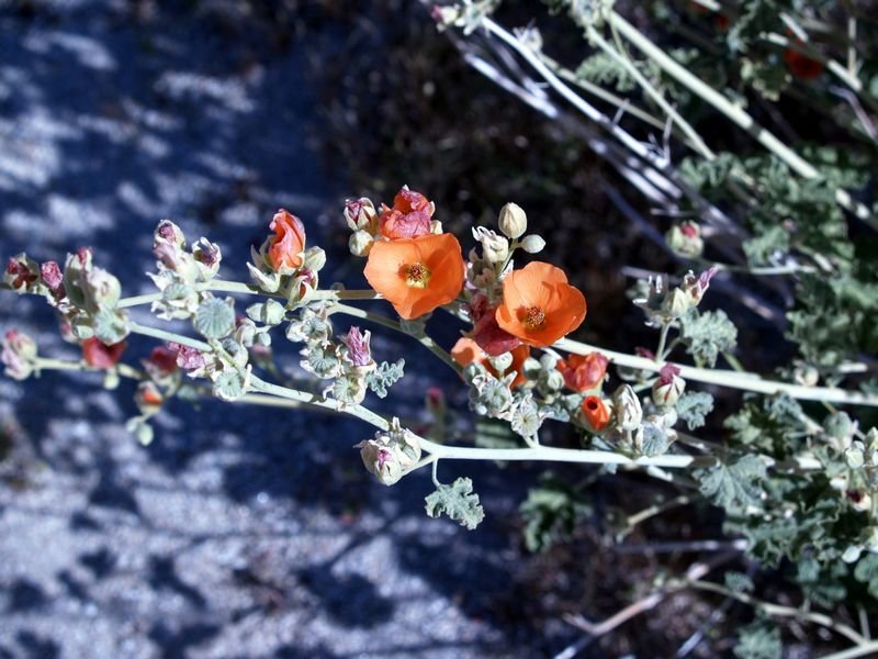 photo25.jpg