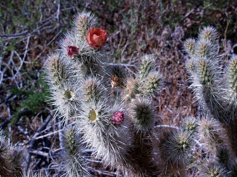 photo26.jpg