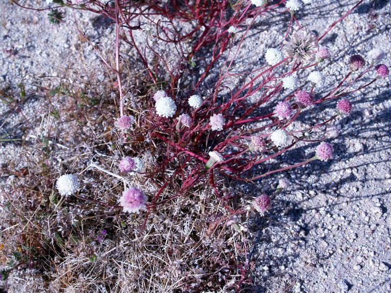 photo30.jpg