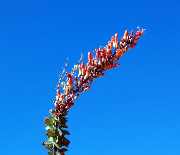 photo34.jpg