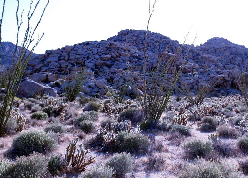photo73.jpg