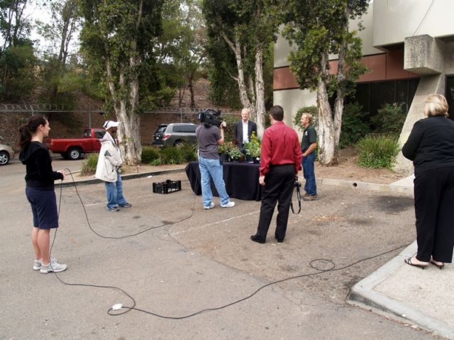 photo.jpg