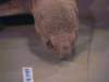 a021775_small.jpg