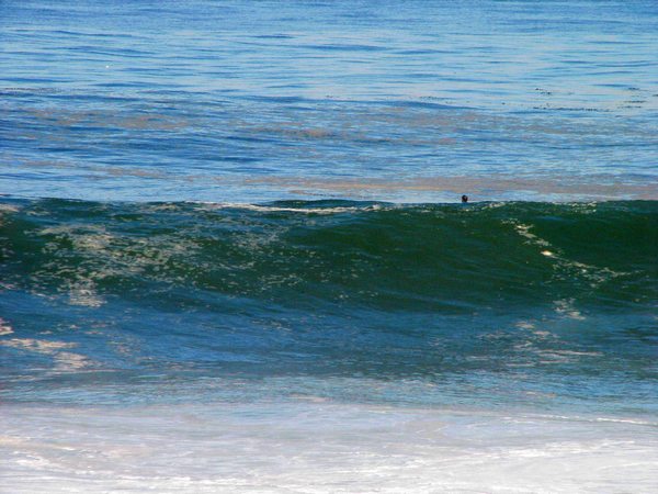 Big Surf Ca