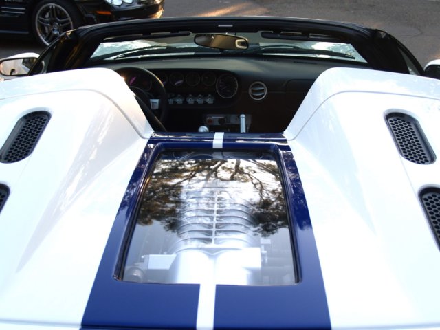 photo19.jpg