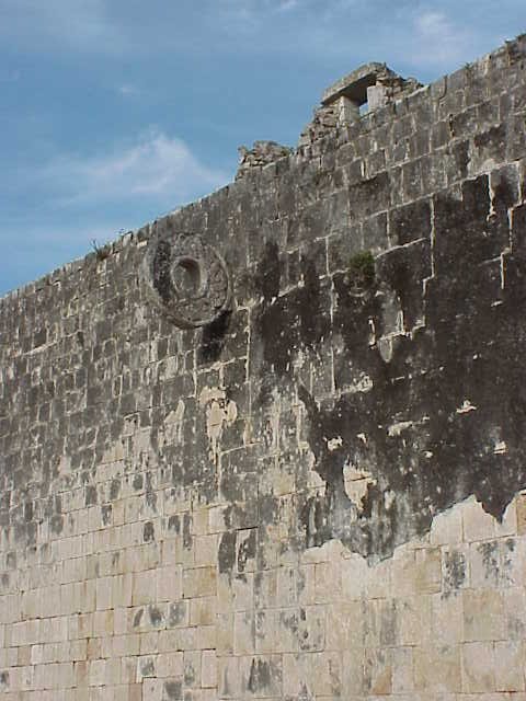 maya5.jpg
