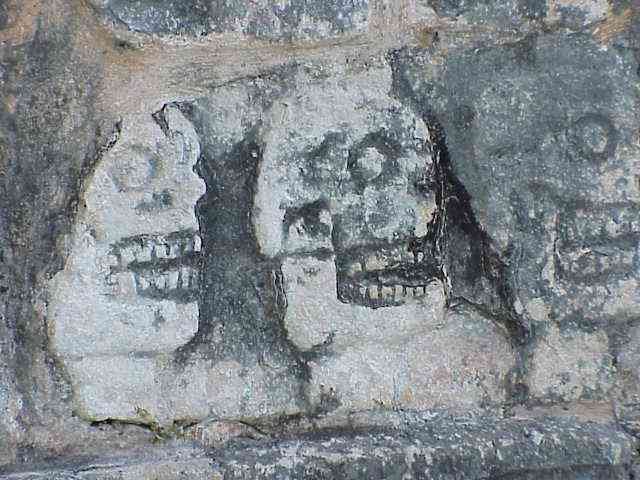 photo7.jpg