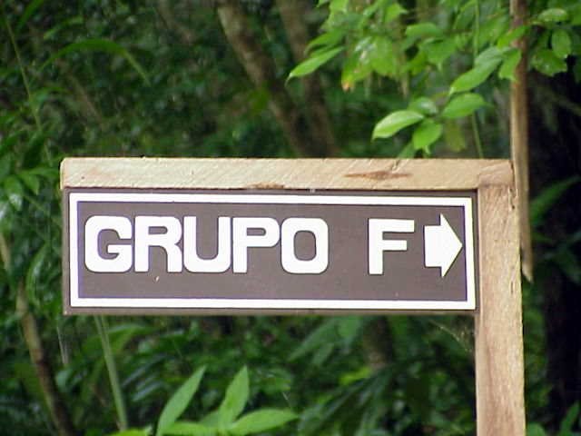 groupfgroupof.jpg