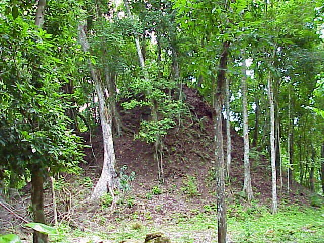 mvc673.jpg