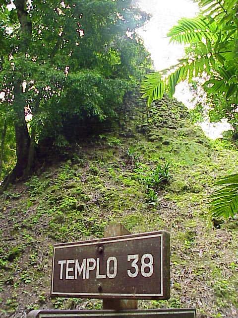 temple38.jpg
