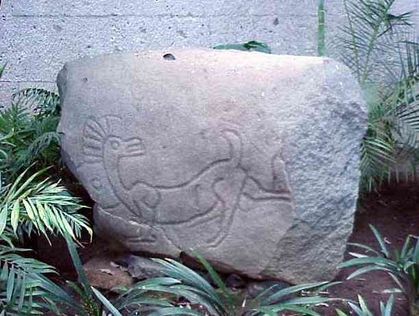 mvc875.jpg