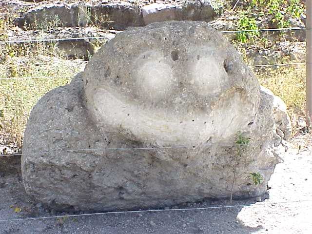 mvc404a.jpg