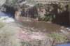 saltrivera_188800_filtered_small.jpg
