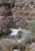 saltriverb_189800_filtered_small.jpg