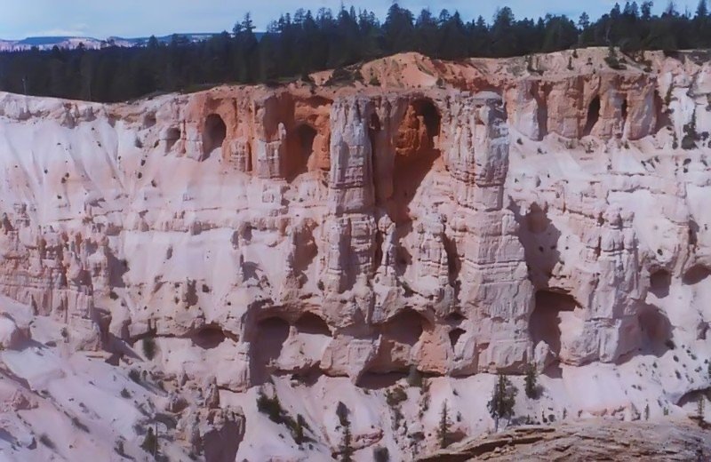 brycec1_1568001.jpg