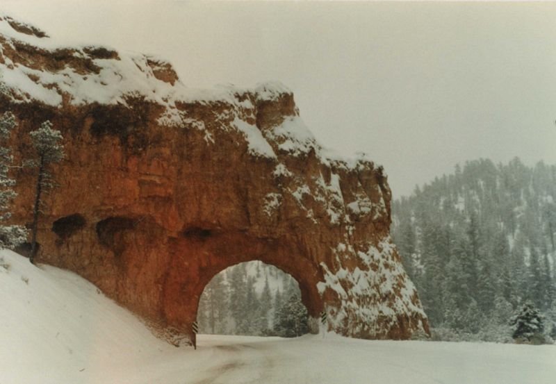 butahc085800.jpg
