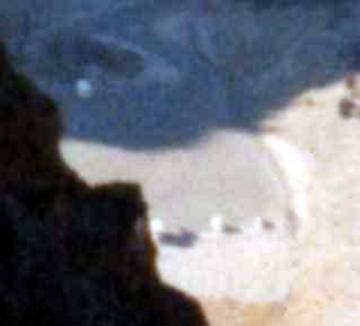 mlcaliforniac109dolphin800.jpg