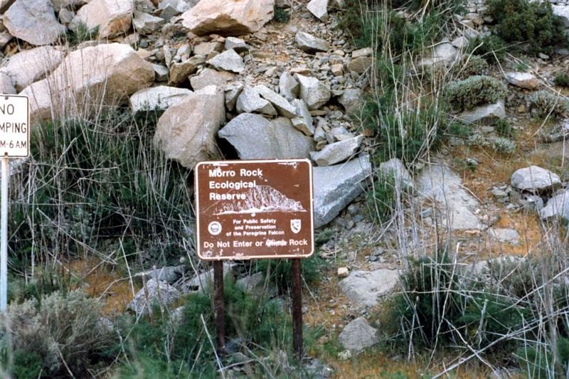 morrojune97_036b2.jpg