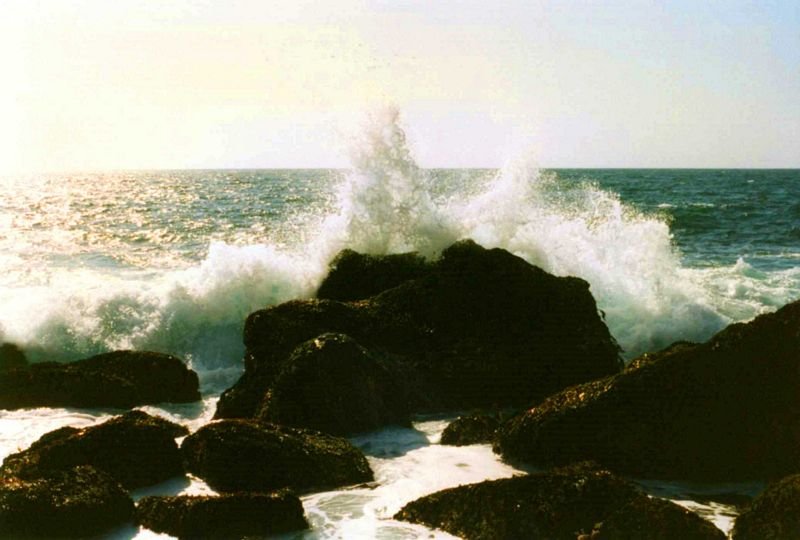 morrojune97_039b3.jpg