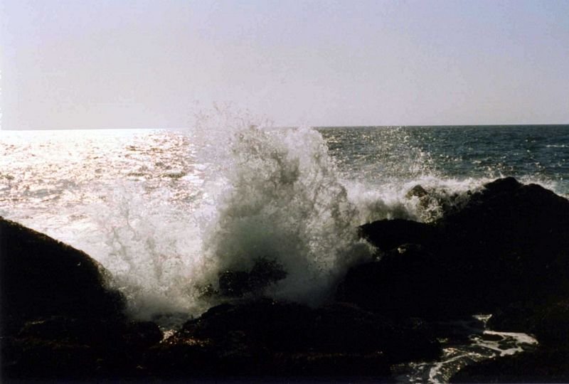 morrojune97_039c3.jpg